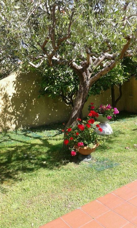 La Casina Dell'Annetta Villa Camaiore Bagian luar foto